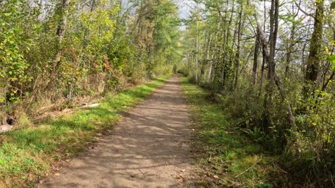 🍂 Adventured Into The Forest 🍀🍃 Lime Kiln Trail in Ottawa 🍁 Canada 🍂 Fall Edition Oct 1st 2024🌿🥬 Walking In Silence 🔇