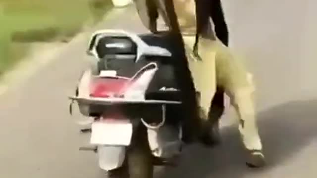 Very funny scooter drive