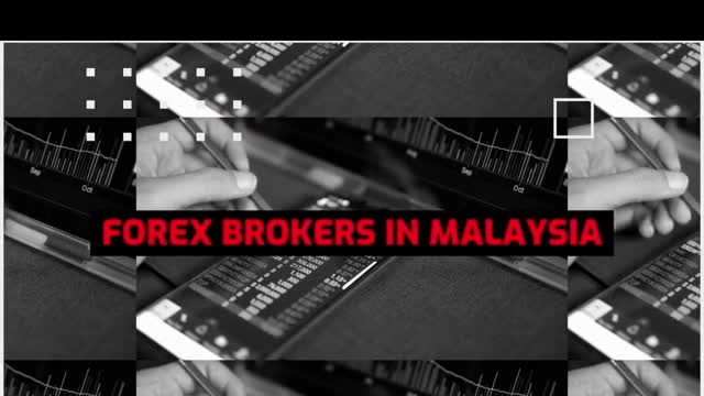 Best MT4 Forex Brokers In Malaysia - Forex Brokers | Loginuncle.org