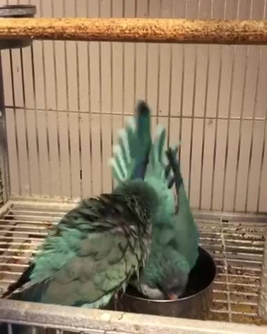 Splish splash we’re taking a bath 💦