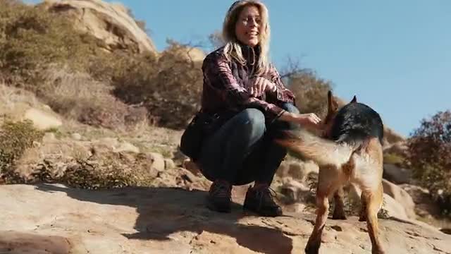 Dog and his owner
