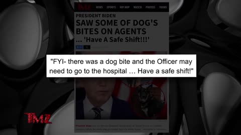 Biden Present For Multiple Dog Bites On Secret Service Agents