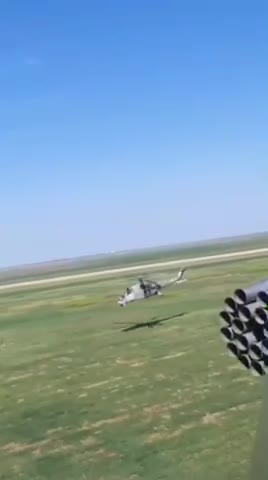 BEARS IN THE AIR MID