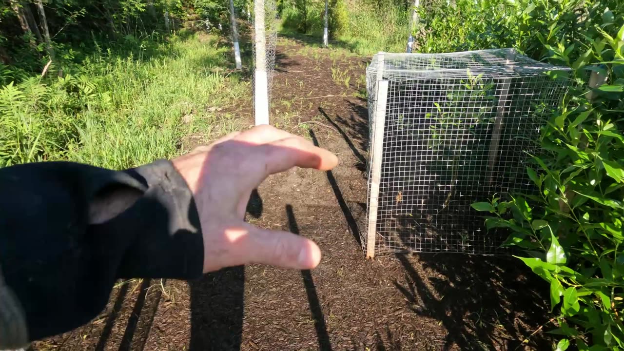 🎃🫑🥕 Support Your Local Farmer 🍂 🍇🍎🍉 Fresh Healthy Gardens All Around Ottawa 🌎 Canada 🍁🍆🍄‍🟫