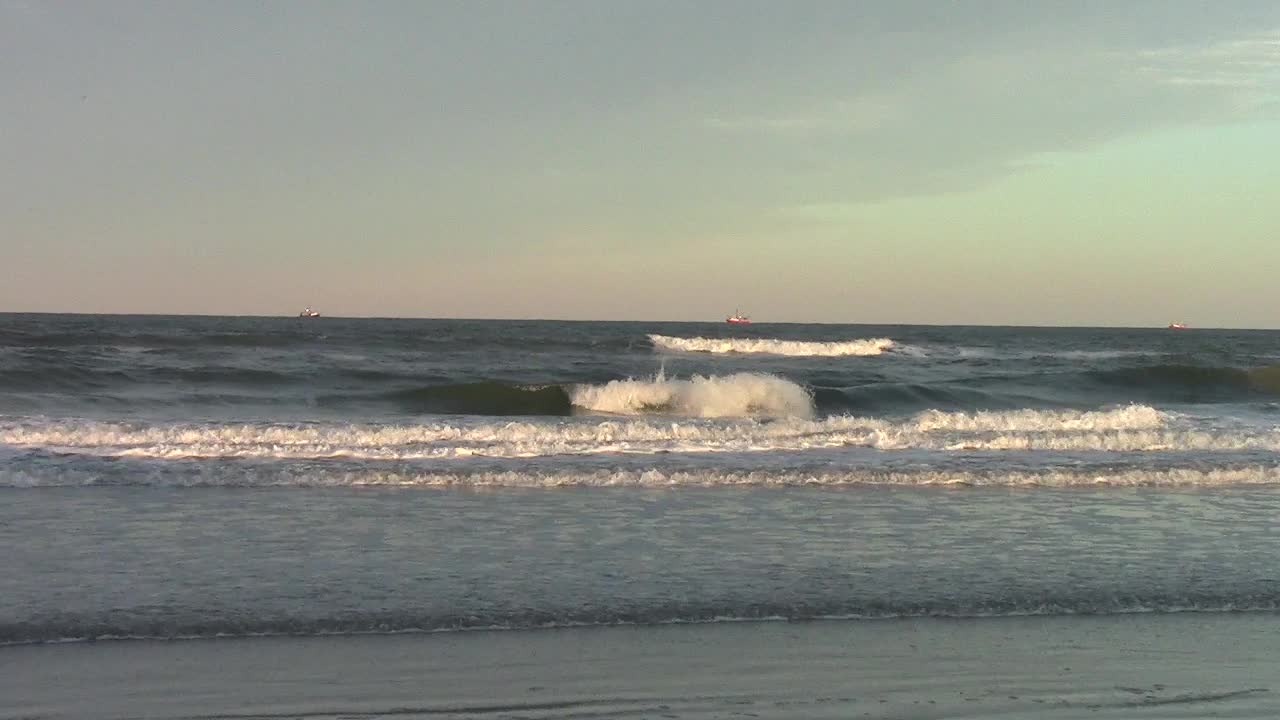 Shrimp trawlers on the Atlantic coast