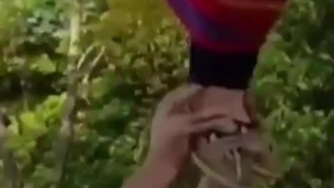 The end 😂😂😂 #funny #fails #shorts #reels #viral #humorexpose