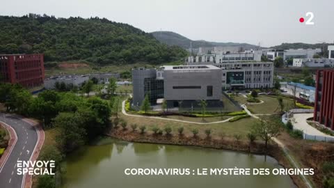 Covid19, virus échappé d'un laboratoire ?