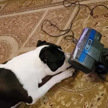 Biggie verses vacuum