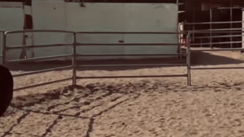 My horse riding first time