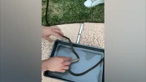 THE JUMPROPE FIRE LEVITATION