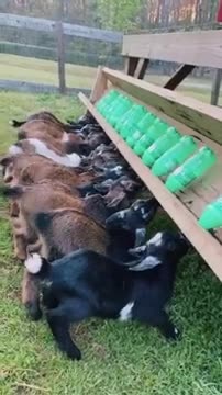 humanity is alive - Respect