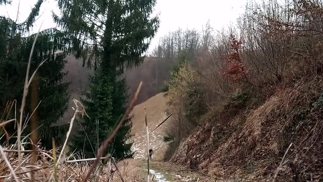 Challenges her to run on hills