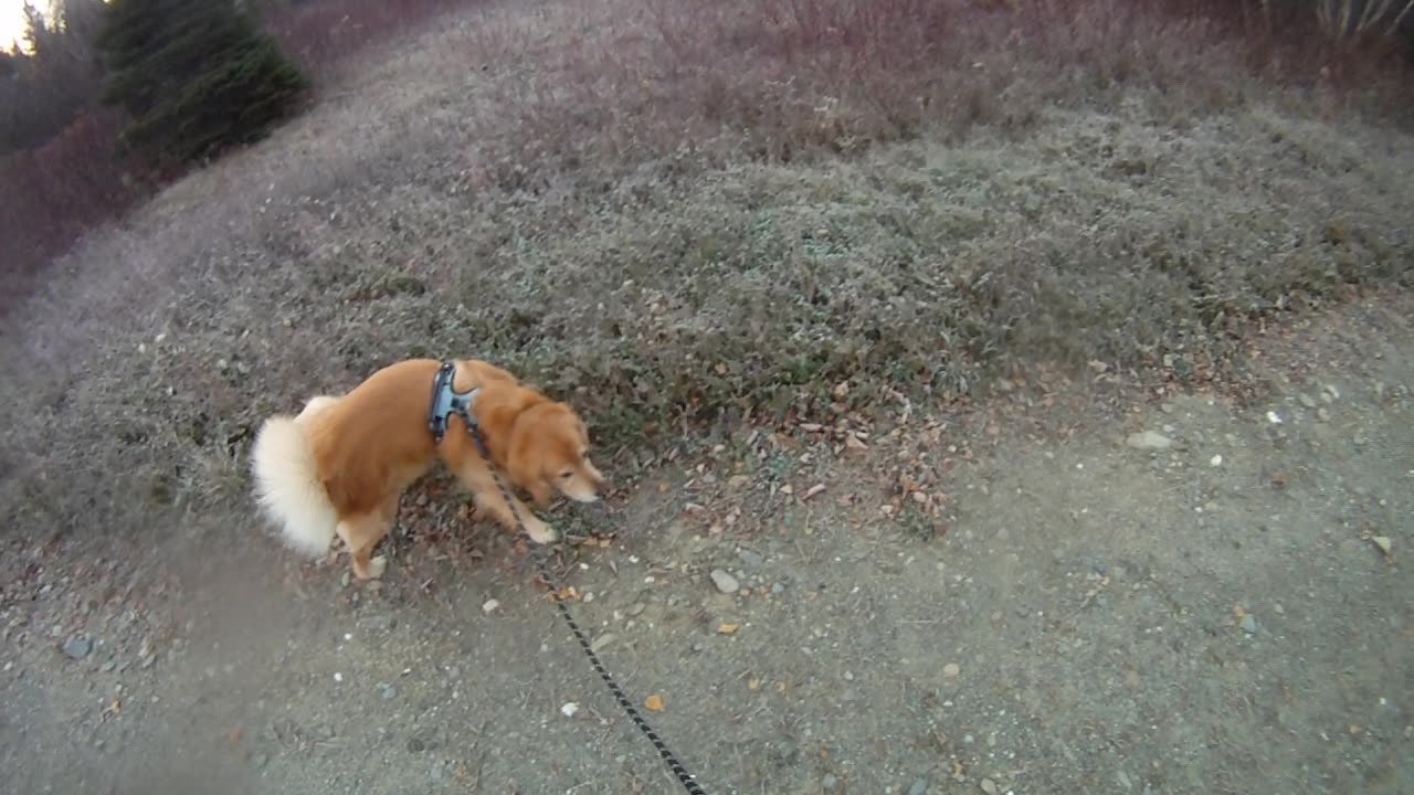 October 29th, 19º We go North, Flynn looks for Molly but she's not there.