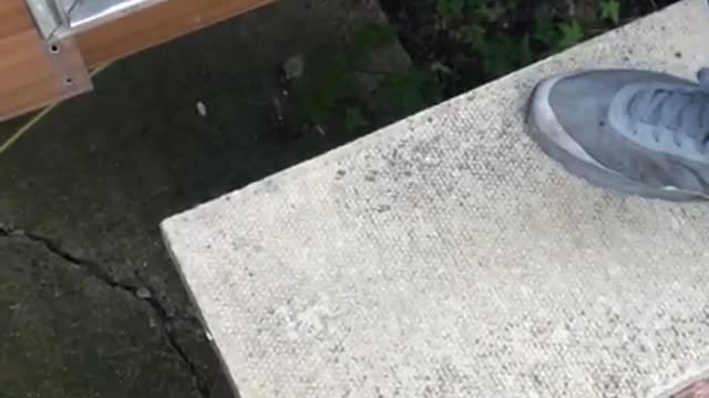 David J. Newark part 1