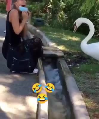 goose face mask fanny video