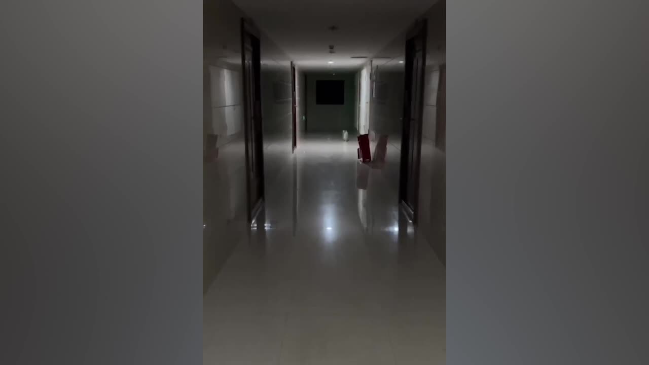 Cats who want to go out and play