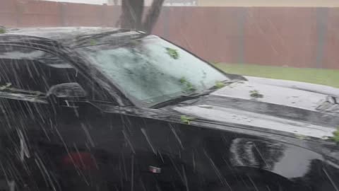 Mopping Woman Screams At Outside Hail