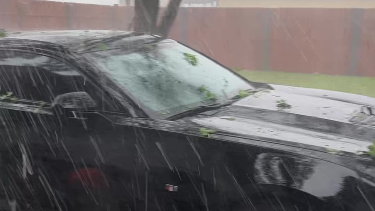 Mopping Woman Screams At Outside Hail