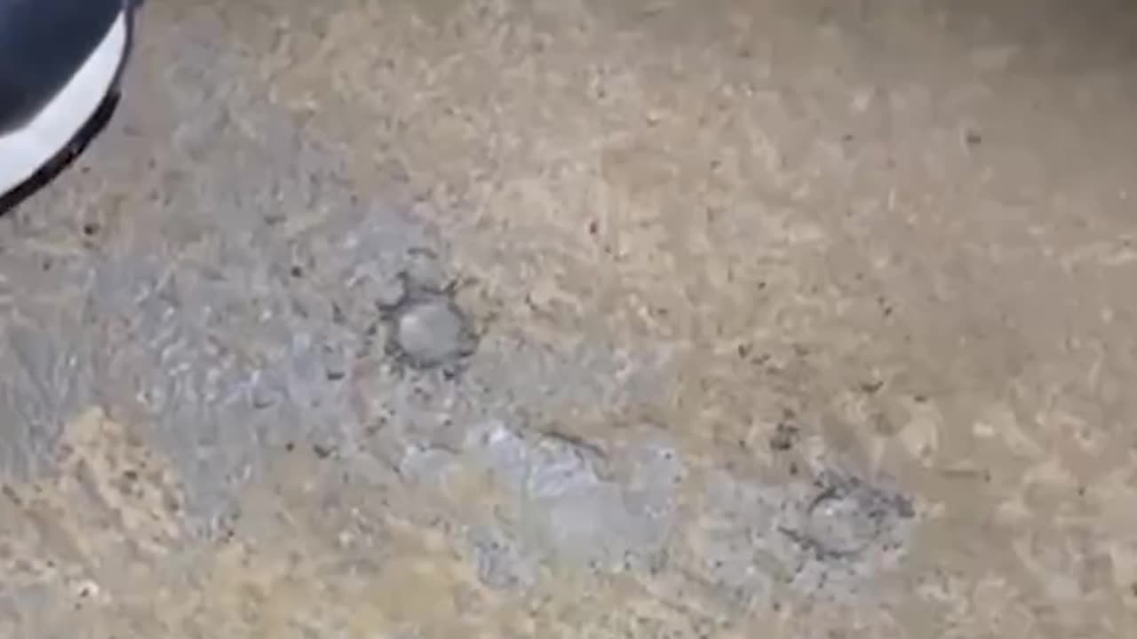 SEMENTO SA BASEMENT MALAMBOT PA