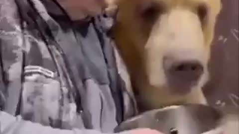 Οι Ρώσοι έχουν αρκούδες για κατοικίδια,! Πιστεύετε, πραγματικά, ότι μπορεί να νικηθεί αυτή τη χώρα;