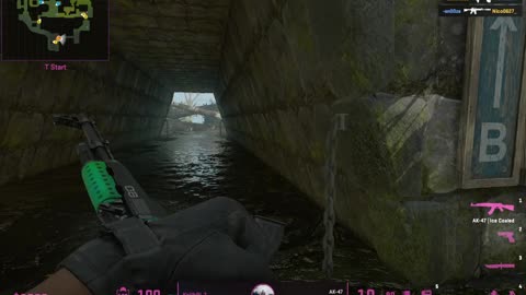 TeamKilling - KolibRi_7