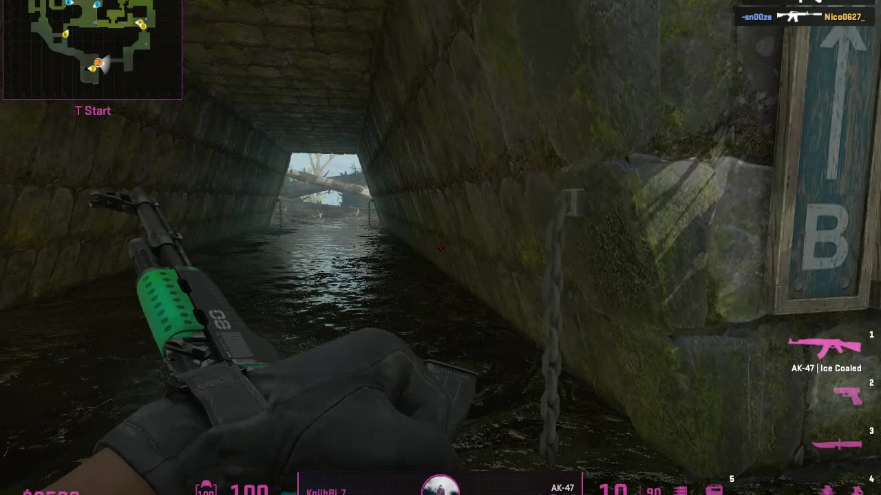 TeamKilling - KolibRi_7