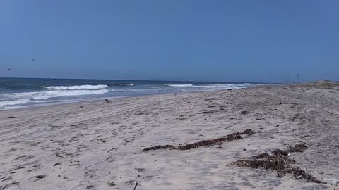The Captain's View. Border Field State Park Beach, California. 07/27/24