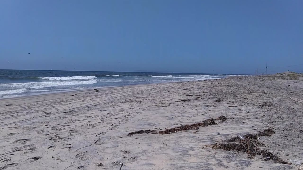 The Captain's View. Border Field State Park Beach, California. 07/27/24