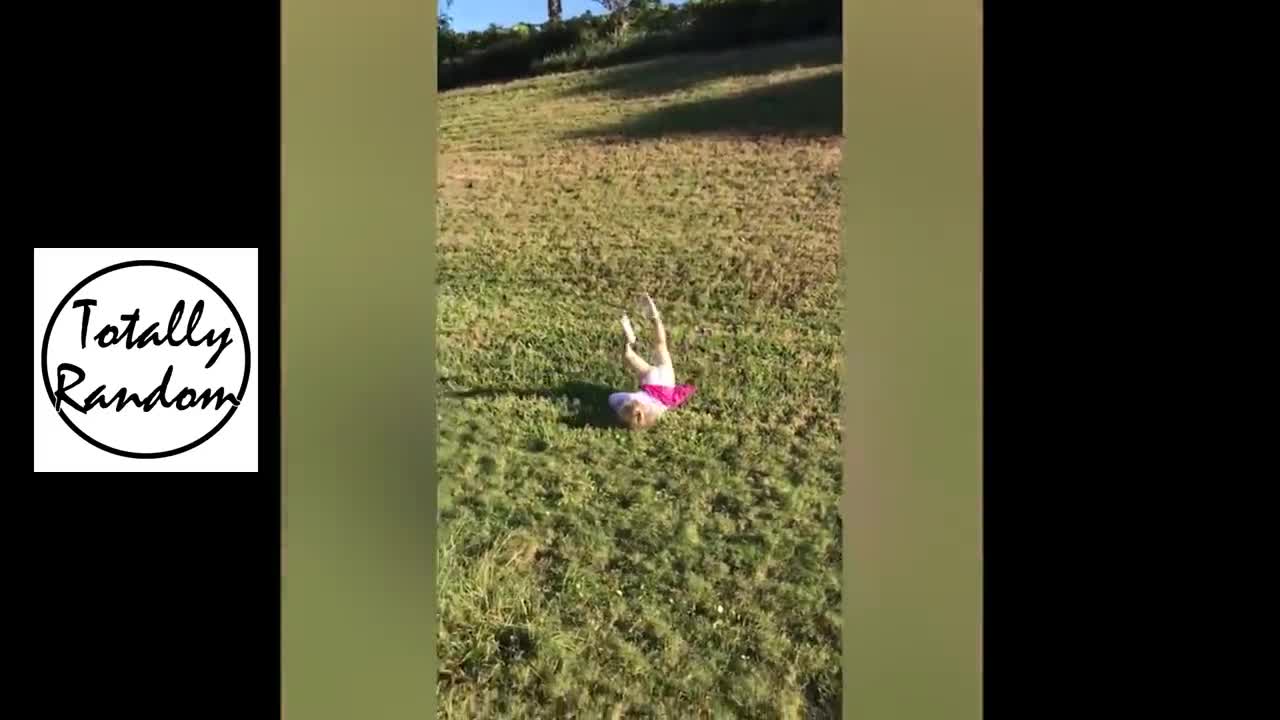 TRY NOT TO LAUGH.// 2 MIN BEST FUNNY VIDEO