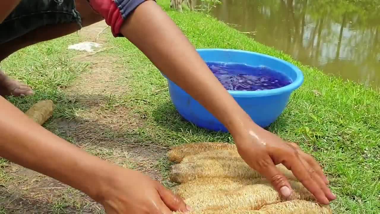 Short and Entertainment Video, Build A Unique Fish Trap