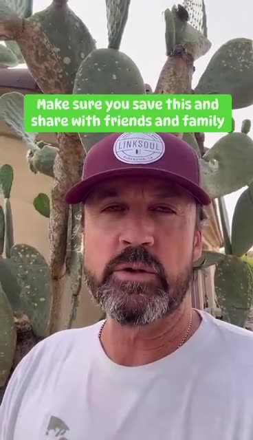 Google and how to make them deaf..