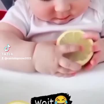 "Tiny Titans Unleashed: Babies in Beast Mode – A Cuteness Overload Adventure!"