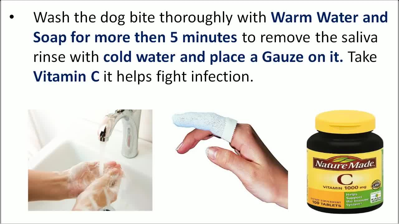 home remedies for dog bites