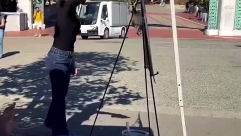 Bitch