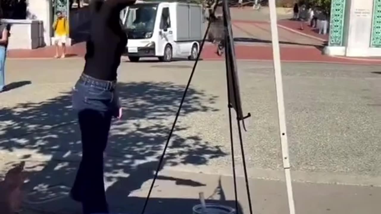 Bitch