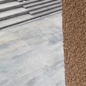 #WED🧈 Ryan Decenzo (📹 Matt Berger)