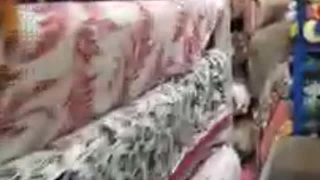 Malha estampada muito boa pra vestido