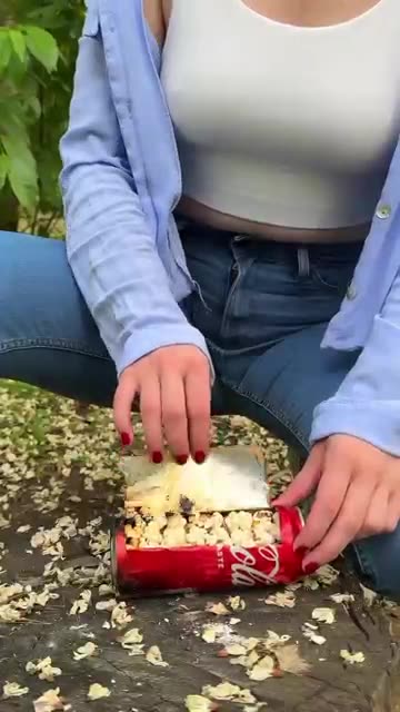 Popcorn Hack In The Forest