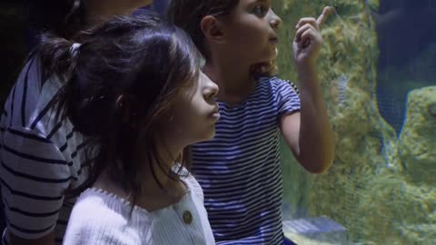 A Woman and Young Girls Watching the Fishes in a Big Aquarium