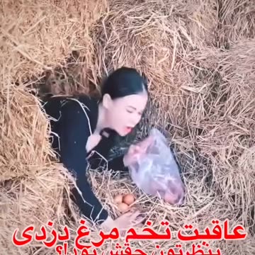 Do You Think the End of the Eggs Theft Was Good?|به نظر تان عاقبت دزدی تخم مرغ خوب بود؟