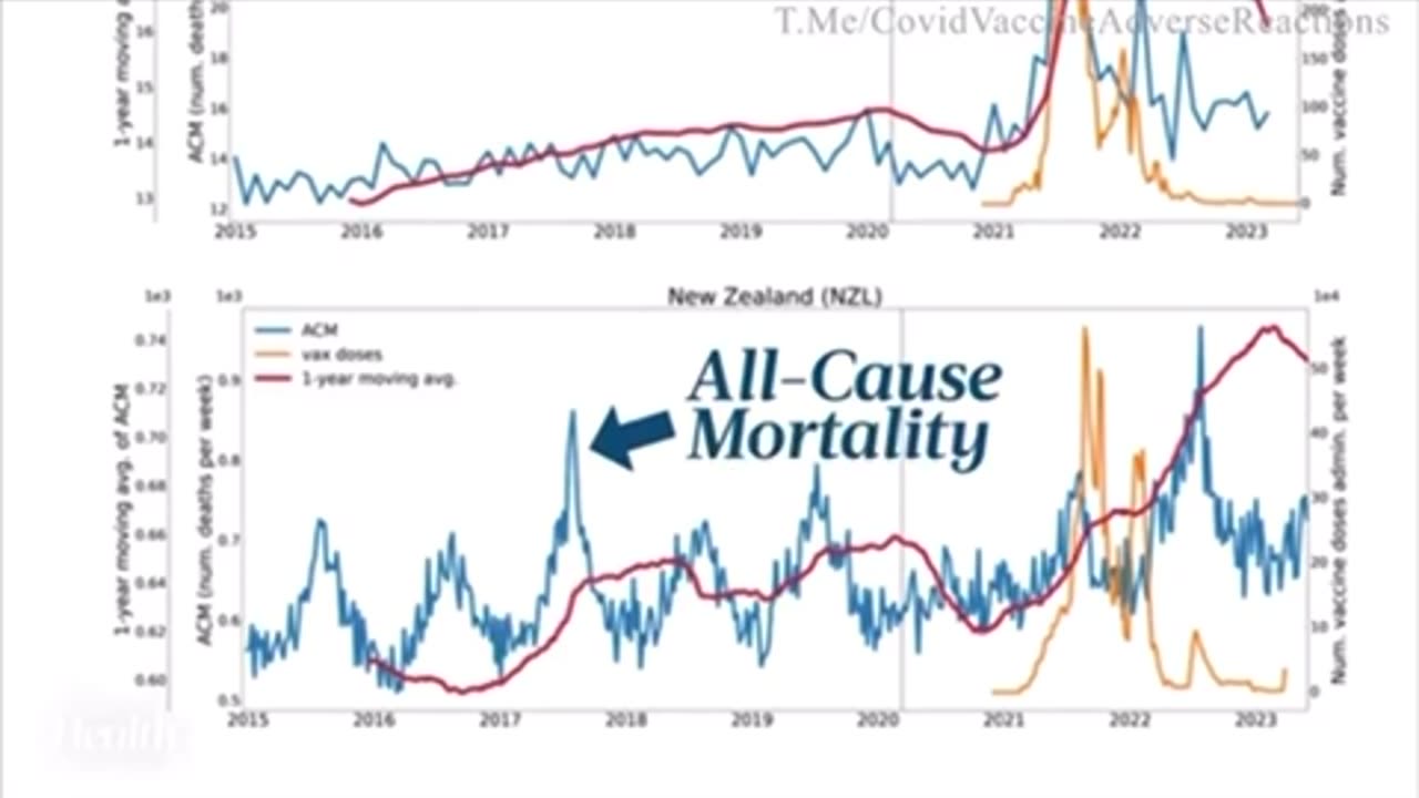 Excess Deaths Post Covid Vaccination