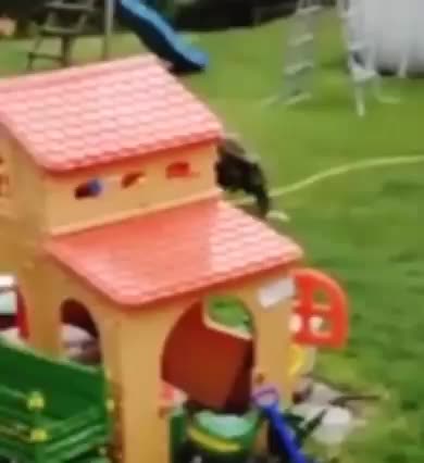 La fuerza centrífuga 🤣🤭😂