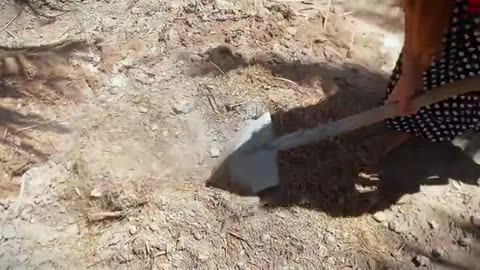 Making clay oven for cooking lamb meatballs with organic vegetables