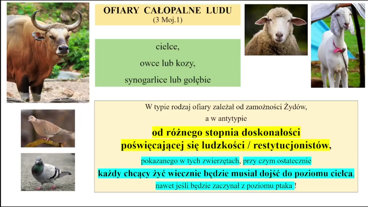 Ofiary całopalne Wieku Tysiąclecia - August Bochniak