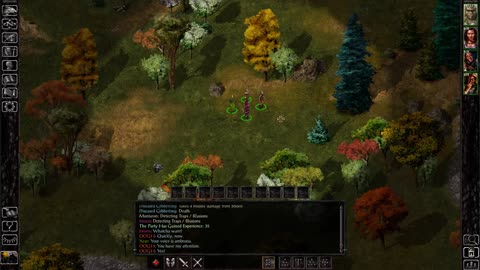Baldur's Gate 1 - Where to get Ring of Princes +1