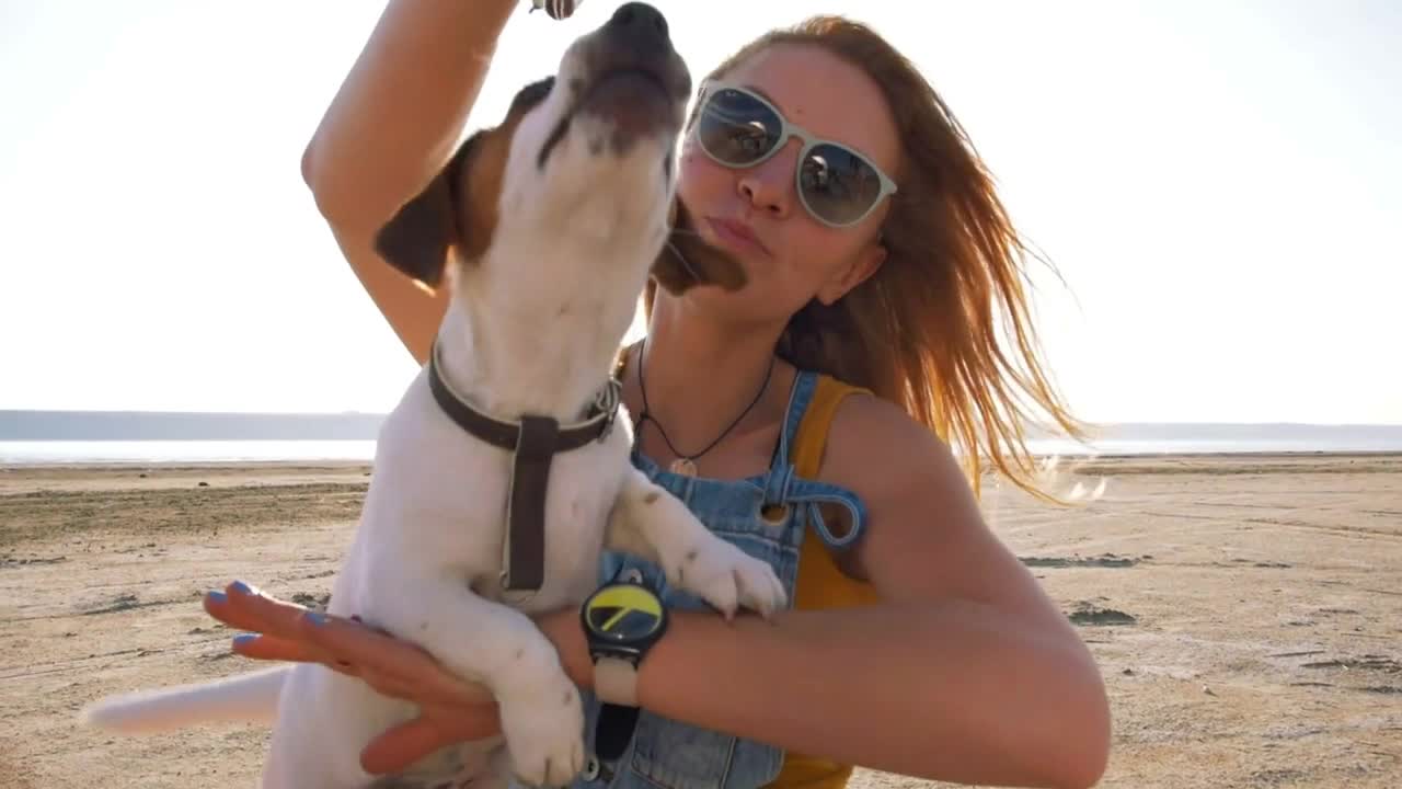 young stylish hipster playing dog puppy jack russell on the beach