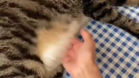 Oh no..