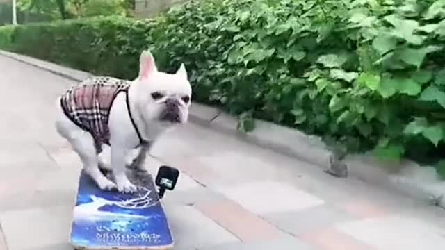 no way to mouth