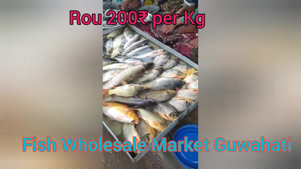 Fish Market Guwahati