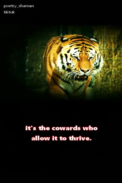 1 Strong Men and Cowards